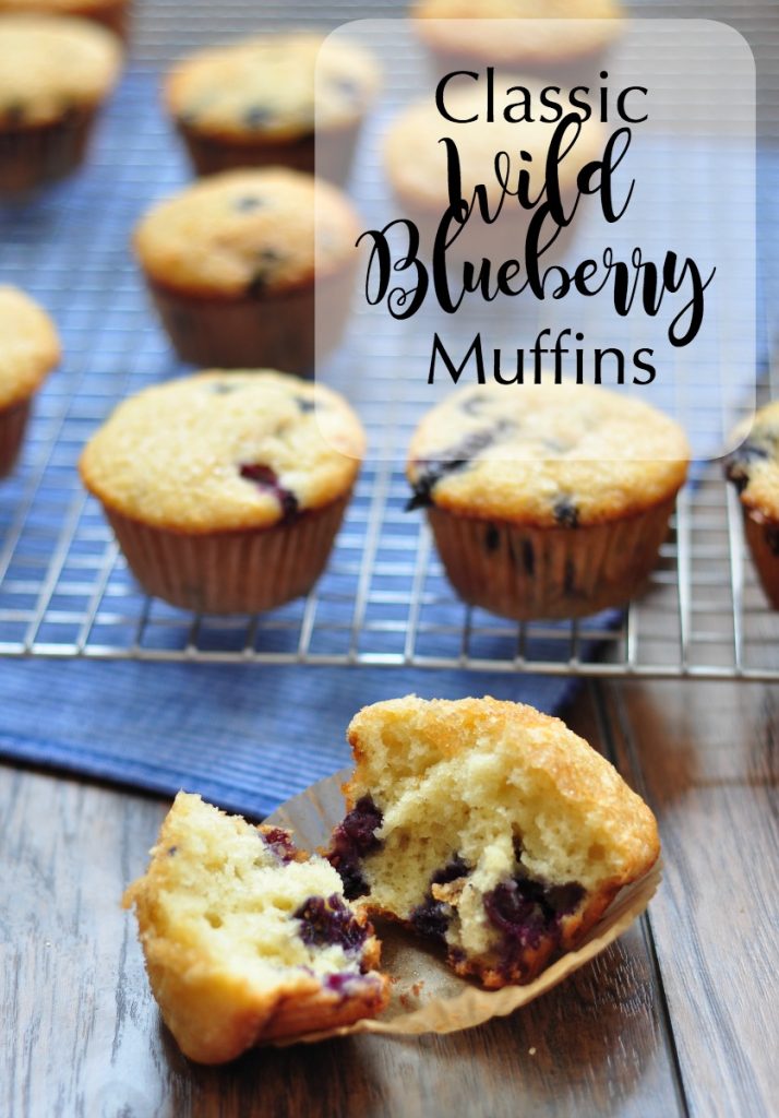 Classic Wild Blueberry Muffins